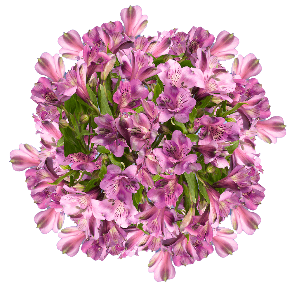 Lavender Alstroemeria Stems Flower Bouquets