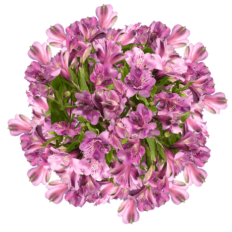 Lavender Alstroemeria Stems Flower Bouquets