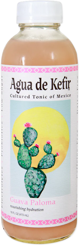GT's Guava Paloma Agua de Kefir 16 Fl Oz