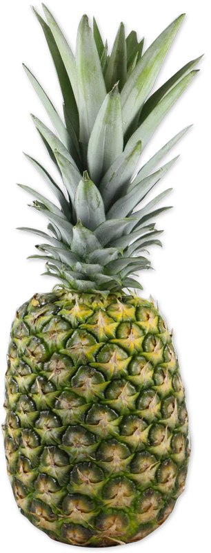 Trader Joes Pineapple/1 Each