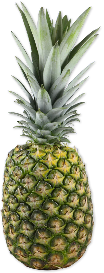 Trader Joes Pineapple/1 Each