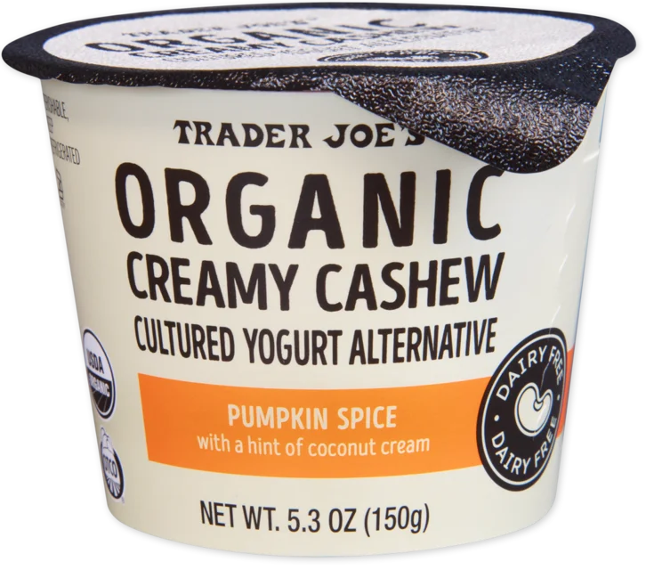 Organic Pumpkin Spice Cashew Yogurt Dairy Free Creamy 5.3 Oz