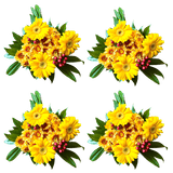Wild Turkey Flower Bouquet Fresh Mixed Arrangement