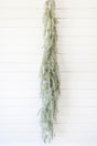 6' Pine Weeping Garland with Frost