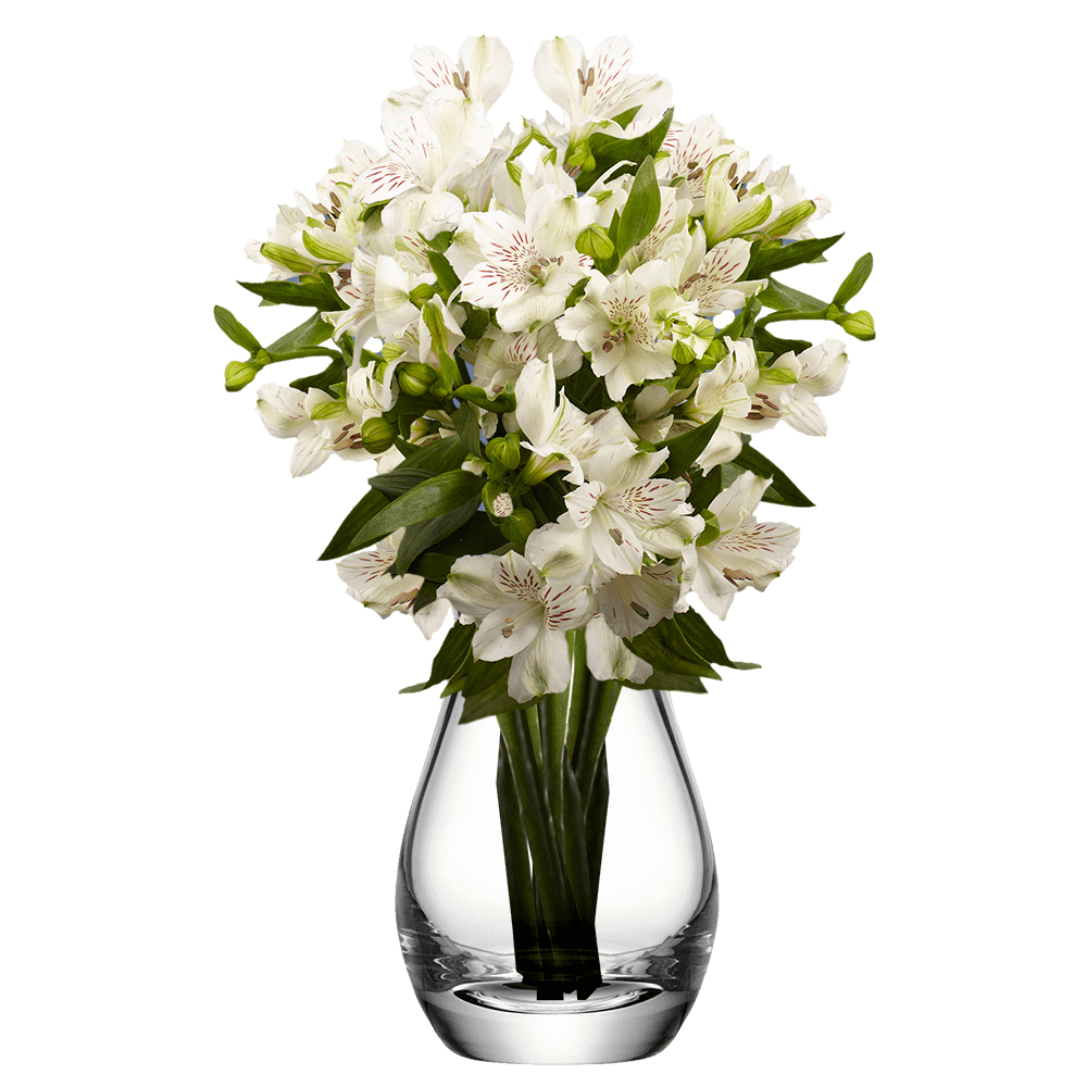 White Alstroemeria Stems Flower Bouquets