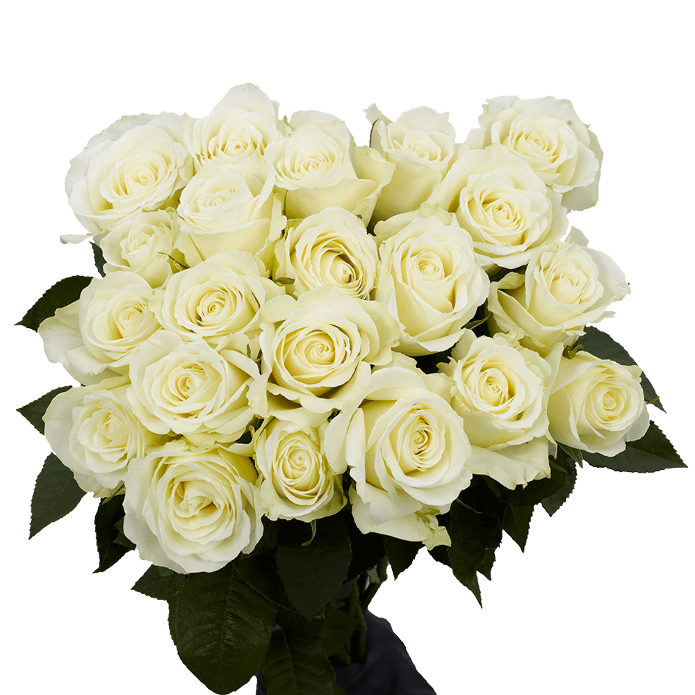 Classic Rose & Lily Fresh Flower Bouquet Elegant Gift Arrangement