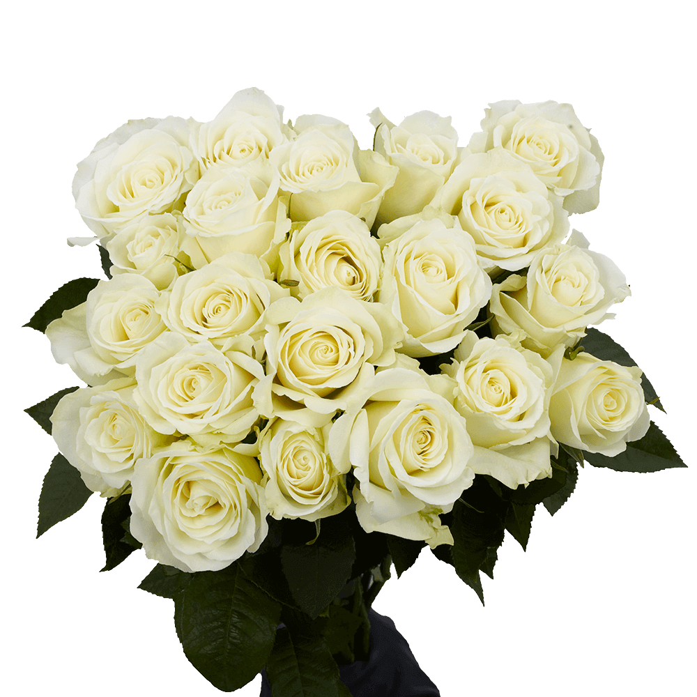 Luxury Rose & Lily Fresh Flower Bouquet for Gifts & Events