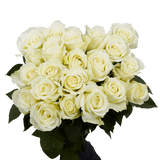 Luxury Rose & Lily Fresh Flower Bouquet for Gifts & Events