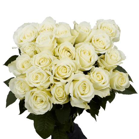 Elegant Fresh Rose & Lily Bouquet Classic Floral Gift