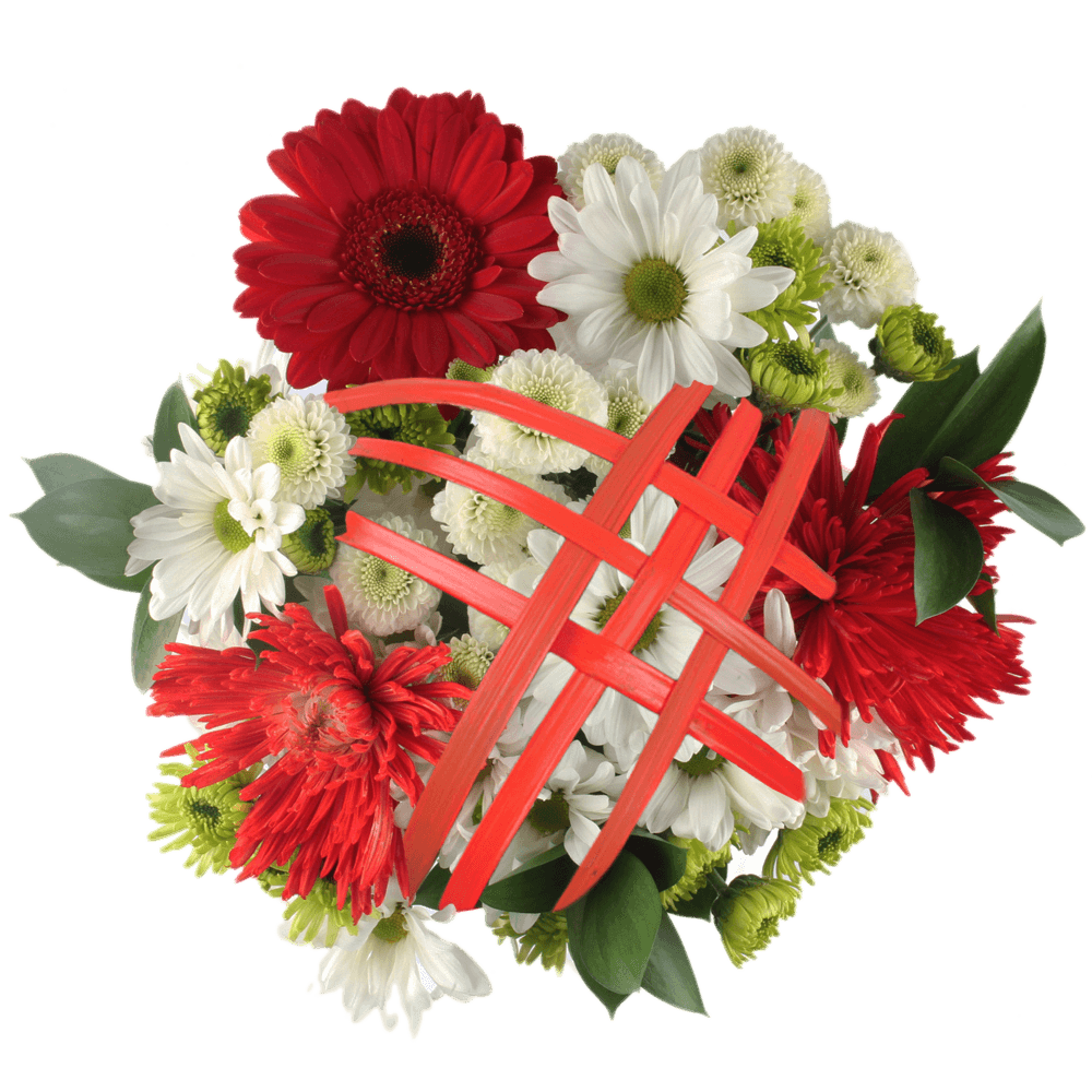 Winter Flower Bouquets 5 Pack 23 Stems New Sensation Seasonal Floral Arrangements Fresh Decor