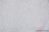 Dahlia Organza Embroidery Polyester Fabric - Embroidered Floral Sheer With Sequins Embellishment, 54" Width (1 Yard)