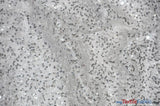 Spider Web Sequins Polyester Fabric - Metallic Web Sequins, Sheer, 54" Wide (1 Yard)