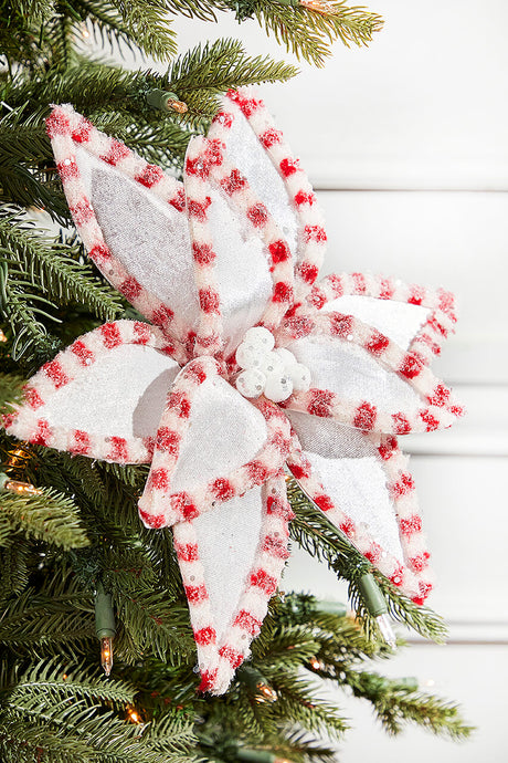 22" x 13" Candy with Snowglitter Poinsettia Stem - White/Red Brite