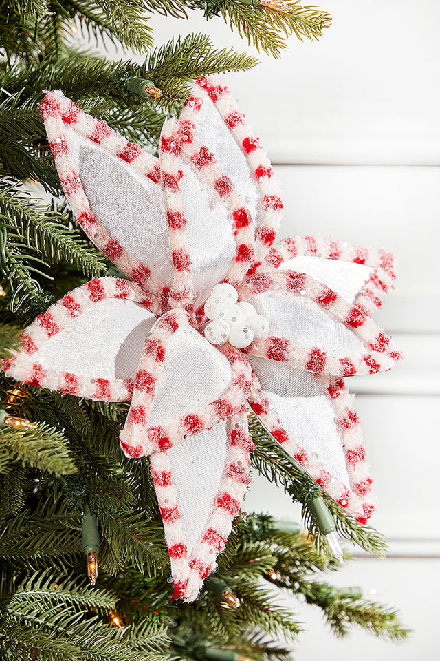 22" x 13" Candy with Snowglitter Poinsettia Stem - White/Red Brite