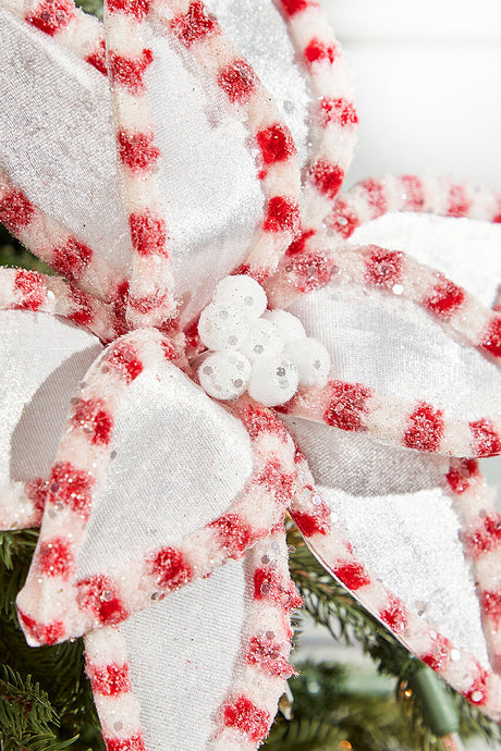 22" x 13" Candy with Snowglitter Poinsettia Stem - White/Red Brite