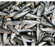 Whitebait Fish (Keski) 100gm