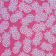 Swim Knit Nylon Spandex White Pineapples on Coral