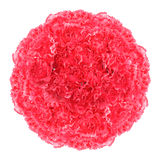 Hot Pink Carnations Bunches – Fresh Flower Bouquets