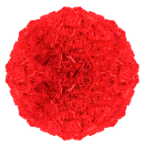 Red Carnation Stems Fresh Flower Bouquets