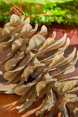8” Plastic Sequoia Pinecone with Wire Ornament