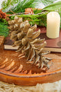 8” Plastic Sequoia Pinecone with Wire Ornament