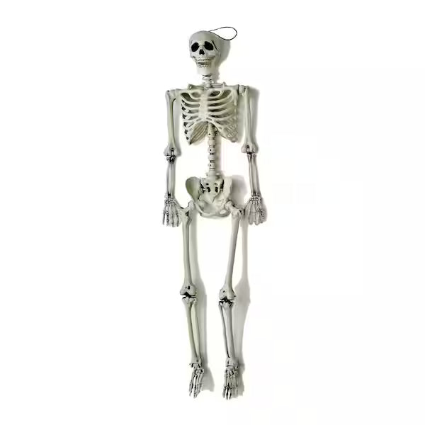 60 in. Life-Size Hanging Skeleton Halloween Decoration