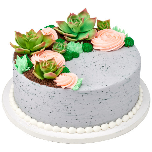 Green Succulents Gum Paste Flowers - 12 per order