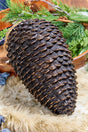 12" Pinecone Ornament