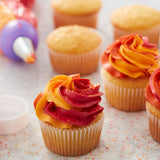 Wilton Color Swirl, 3-Color Piping Bag Coupler, 9-Piece Cake Decorating Kit
