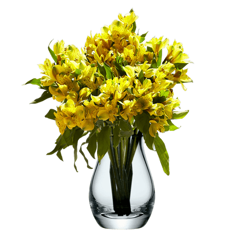 Yellow Alstroemeria Stems Flower Bouquets
