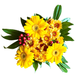 Wild Turkey Flower Bouquet Fresh Mixed Arrangement