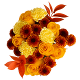 Fall Beauty Fresh Flower Bouquet Seasonal Floral Arrangement Pack