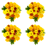 Autumn Delightful Flower Bouquets Fresh Seasonal Arrangement Set