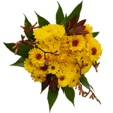 Yellow Fall Flower Bouquet Fresh Mixed Arrangement