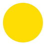 Prolite Vinyl Heat Transfer Vinyl Fabric - Yellow, Plain, 20" H X 12" W (Foot)