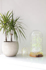 20 LED Silver Copper Fairy Lights – Battery Operated, 7 ft