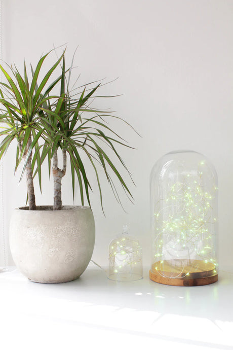 20 LED Silver Copper Fairy Lights – Battery Operated, 7 ft