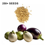 Round Eggplant Mix Seeds Three Color Variety Heirloom Non GMO Garden Collection
